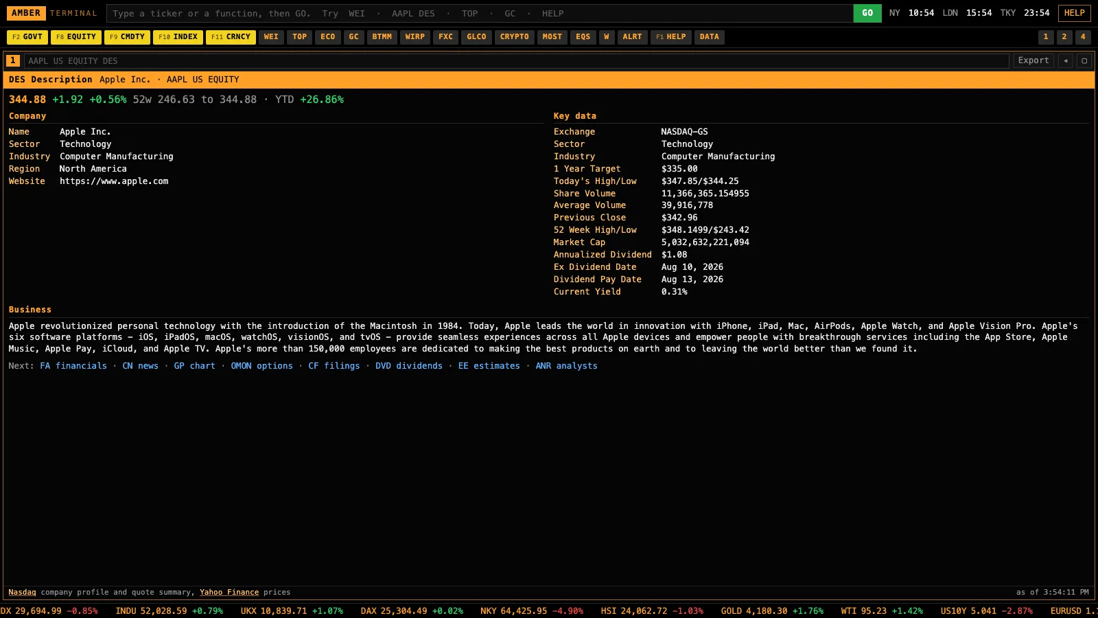 The DES screen in Amber Terminal: a company description and key data